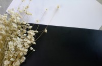 Laminates Backer - Giải pháp hiệu quả trong sản xuất ván gỗ công nghiệp