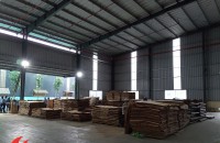 Ván dán và nhu cầu tại thị trường Việt Nam