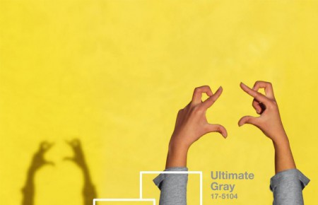 HAI TÔNG MÀU CỦA NĂM 2021