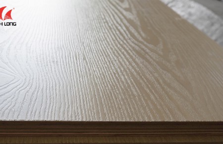 06 LÍ DO VÌ SAO V SỐ THAY THẾ ĐƯỢC CHO VENEER?