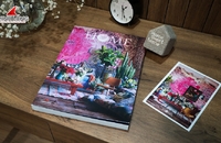 Giới thiệu ấn phẩm Home Color Home