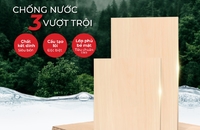 Ván Marine Gỗ Minh Long: Chống nước vượt trội, độ bền cao