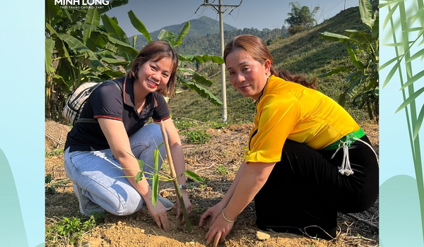 Gỗ Minh Long: Hành trình vị...