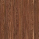ML 335