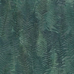 ML 2145