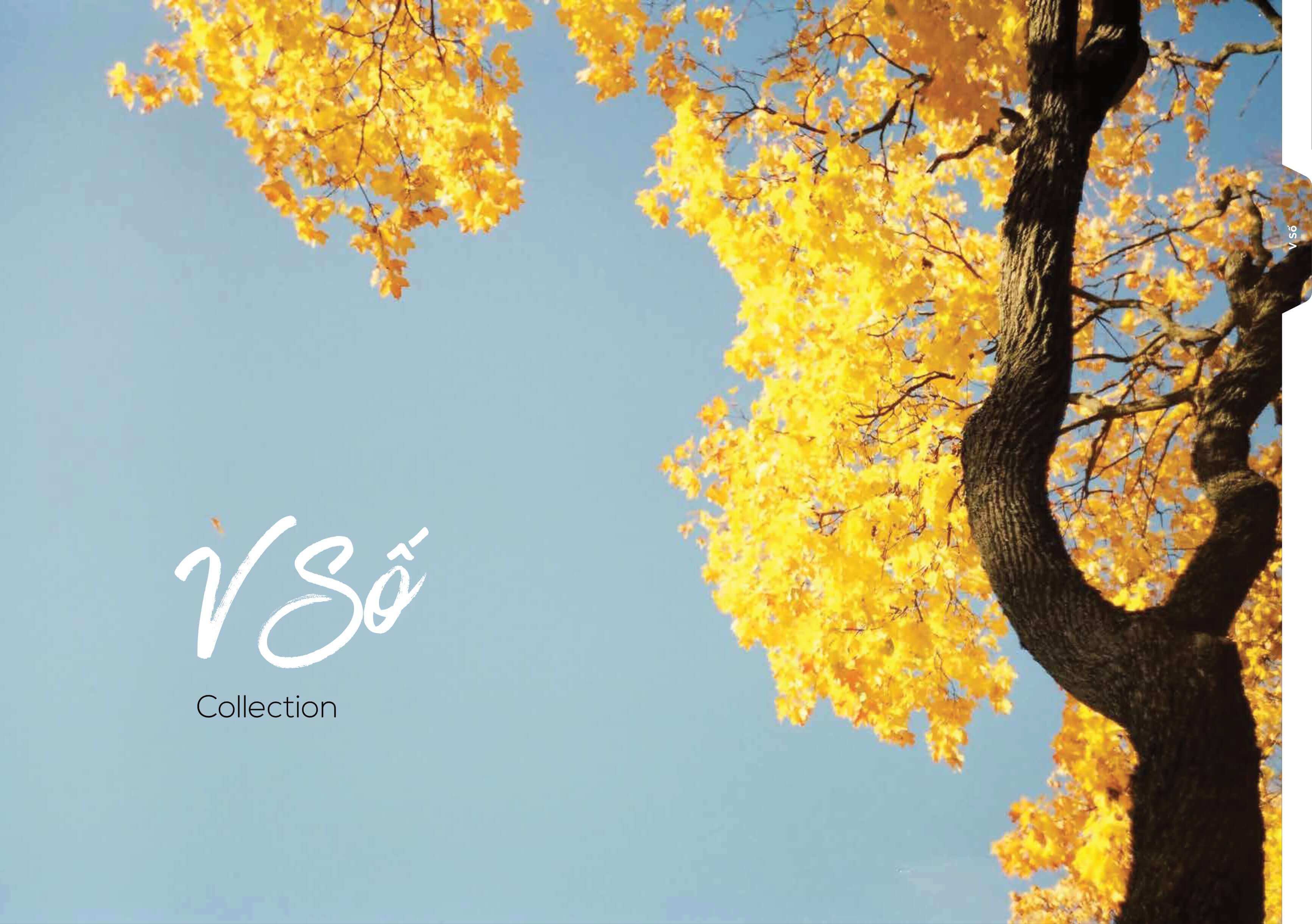 Minh Long Melamine collection 2023 - 26