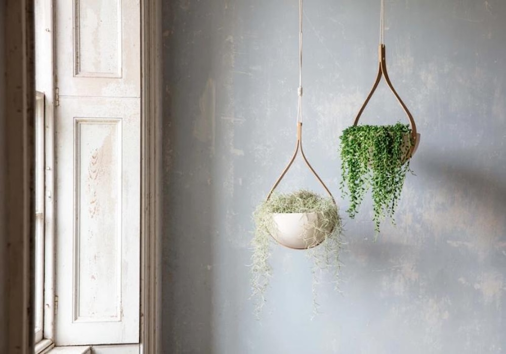 Biophilia khong gian xanh noi lam viec