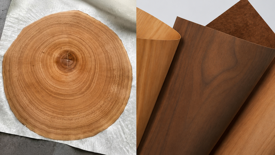 go veneer oc cho 