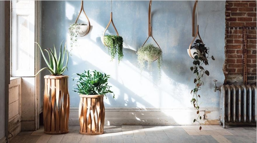 Biophilia –xu huong thiet ke xanh