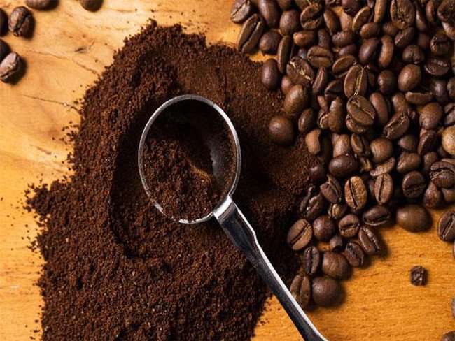 Bã cà phê sau khi dùng xong có thể dùng để chống ẩm rất tốt