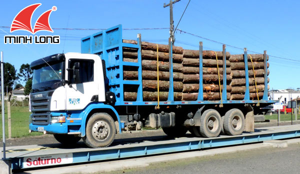 Thu hoạch gỗ để sản xuất ván ép