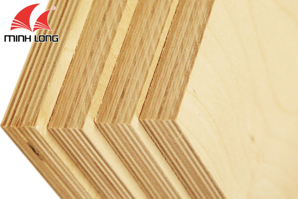 Có 2 loại gỗ dán: Gỗ dán cứng và gỗ dán mềm