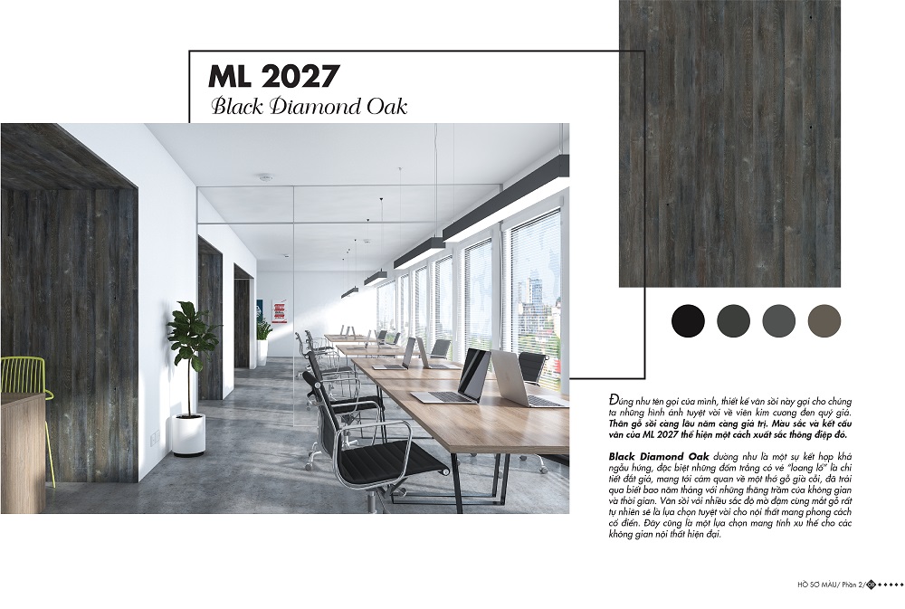 ML 2027 - Home Color Home