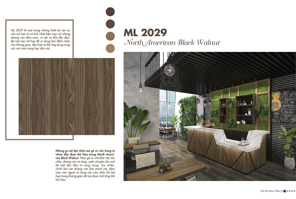 ML 2029 - Home Color Home