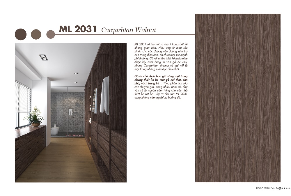 ML 2031 - Home Color Home