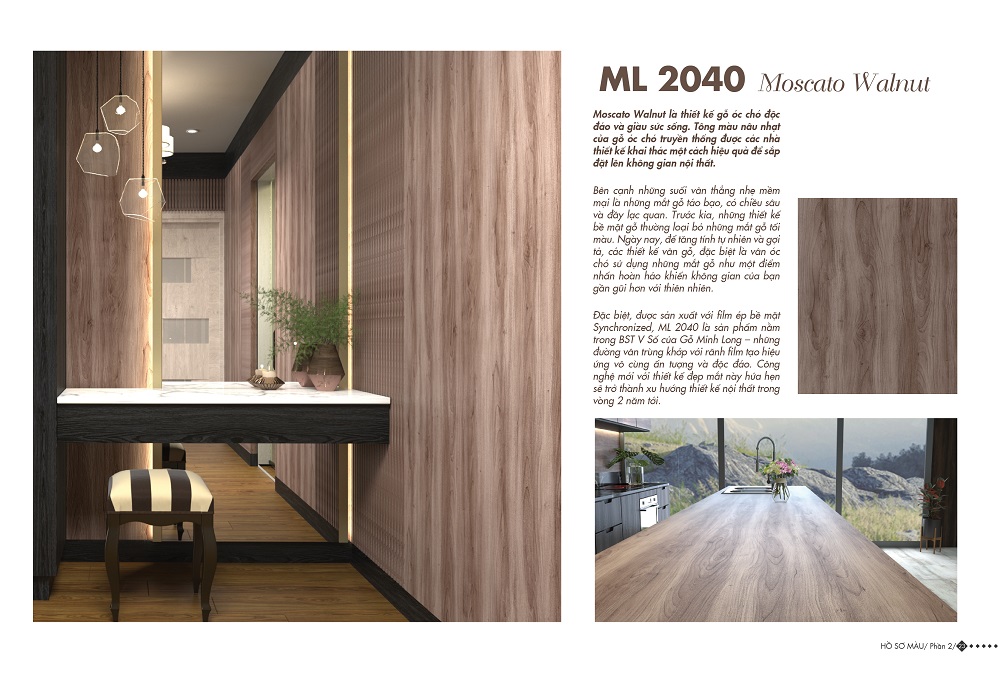 ML 2040 - Home Color Home 