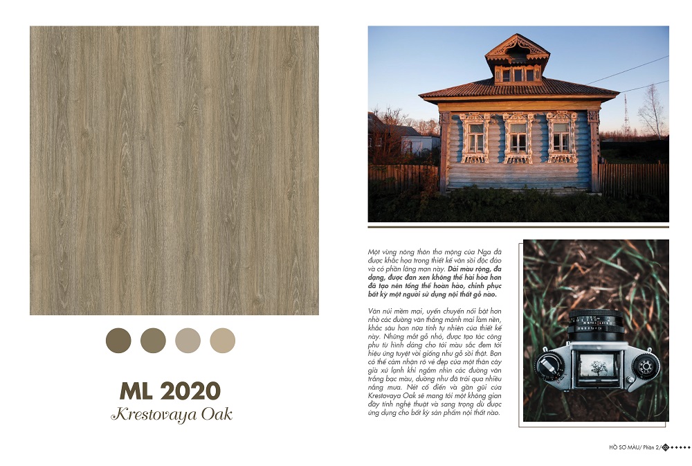 ML 2020 - Home Color Home