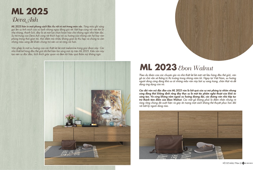 ML 2025 - Home Color Home